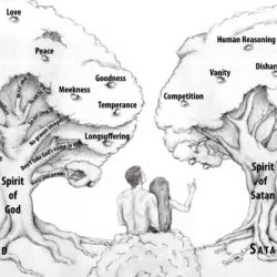 Tree of Knowledge of Good & Evil