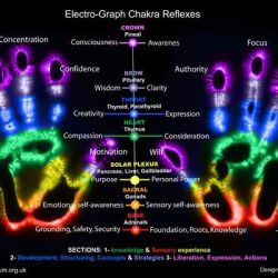 eletrograph Hands Chakra Reflexes